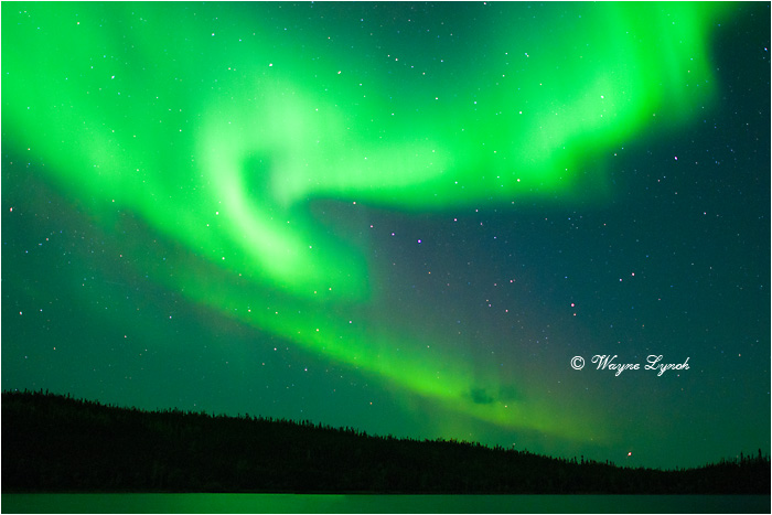 Aurora Borealis by Dr. Wayne Lynch &copy;